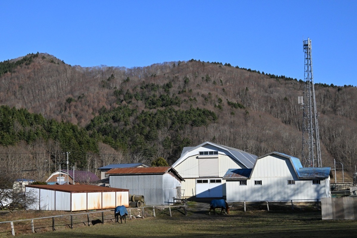 ecf443537158f100b59139444230d5ee-1765807266.jpg ecf443537158f100b59139444230d5ee-1765807266.jpg